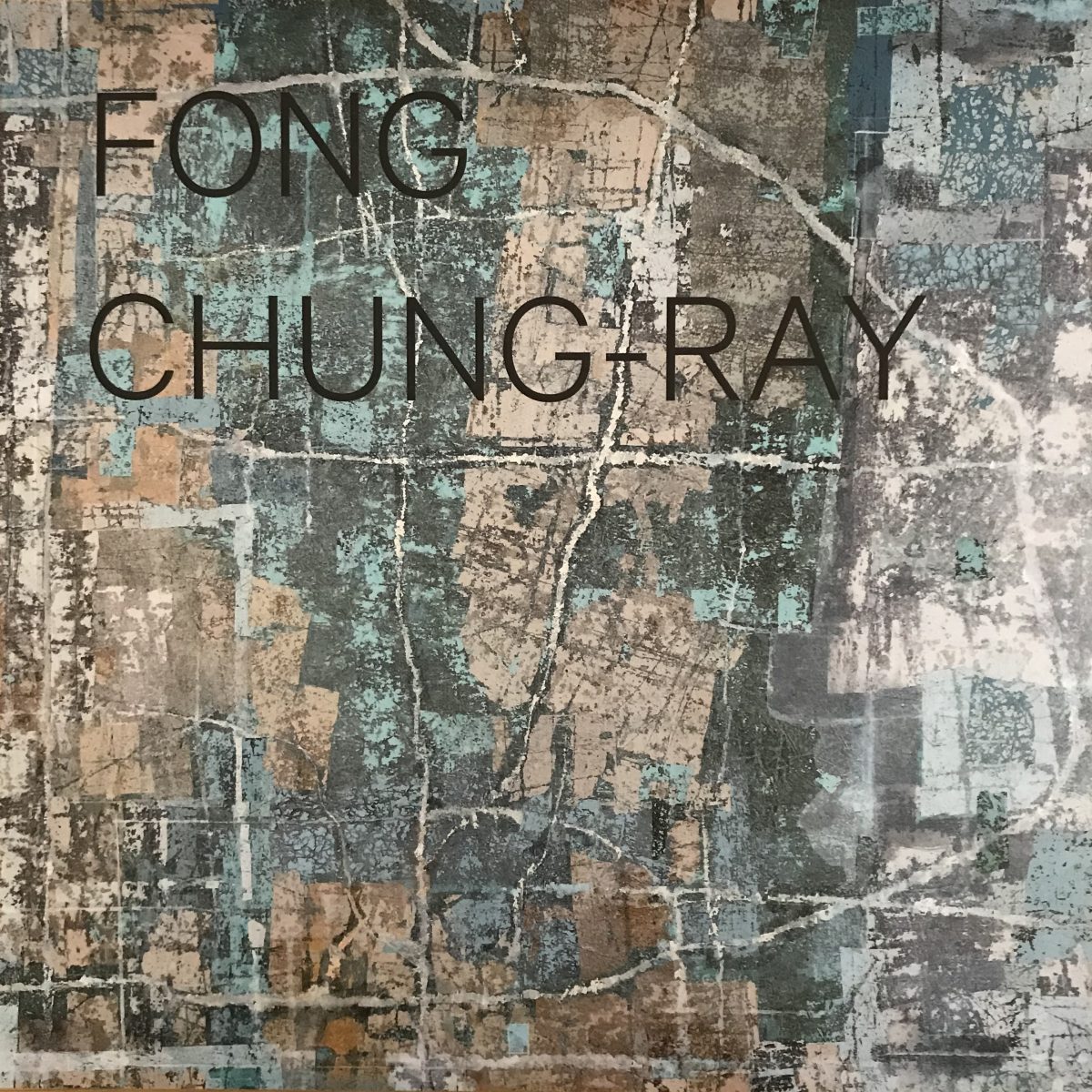 Fong ChungRay Galerie Vazieux